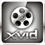 Skyway Classic - ��������������� Xvid � DivX �������